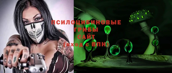 apvp Богданович