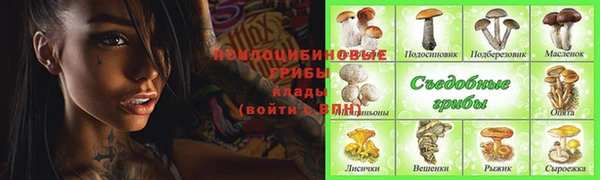 ешки Богородицк