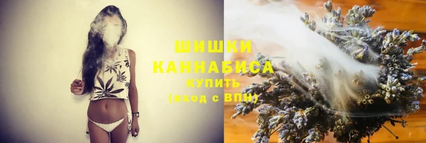 гашик Белокуриха