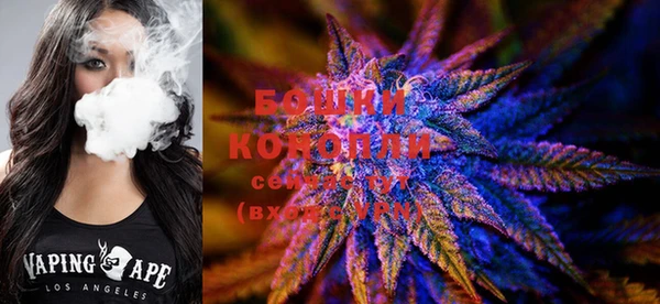 apvp Богданович