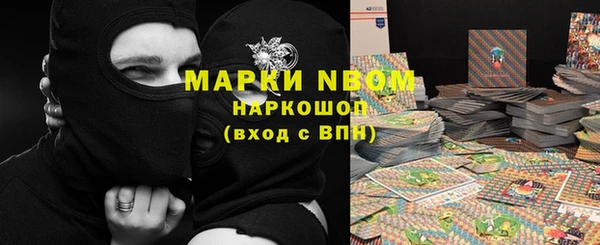 apvp Богданович