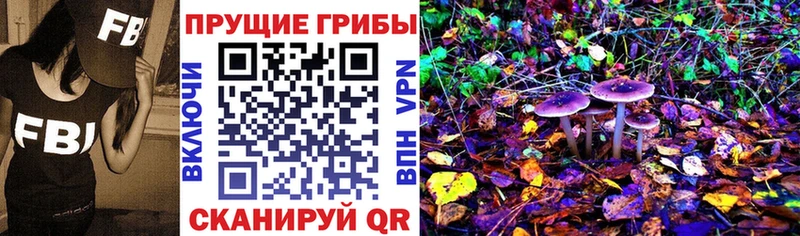 Псилоцибиновые грибы ЛСД  hydra как войти  Велиж 